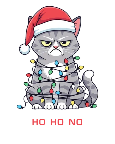 Блуза с качулка “Ho Ho No